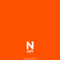 Карта оттенков N-JOY с синтетическими прядями на краску для волос